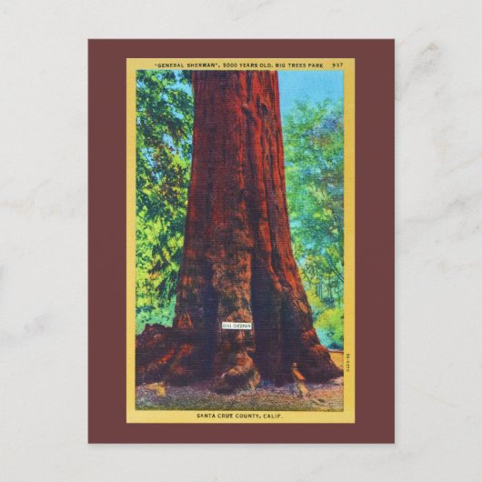 Generaal Sherman, 5000 jaar oud, Big Trees Park Briefkaart (Voorkant)