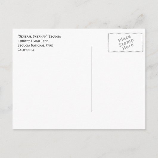 Generaal Sherman Giant Sequoia Briefkaart (Achterkant)