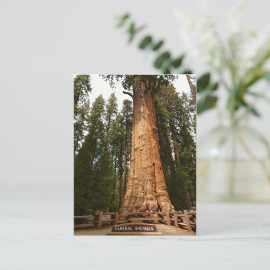 Generaal Sherman Giant Sequoia Briefkaart (Staand voorkant)
