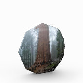 Generaal Sherman Tree, Sequoia, CA Fotoblokken (Links)