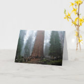 Generaal Sherman Tree, Sequoia, CA Kaart (Gele Bloem)