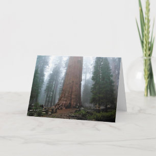 Generaal Sherman Tree, Sequoia, CA Kaart
