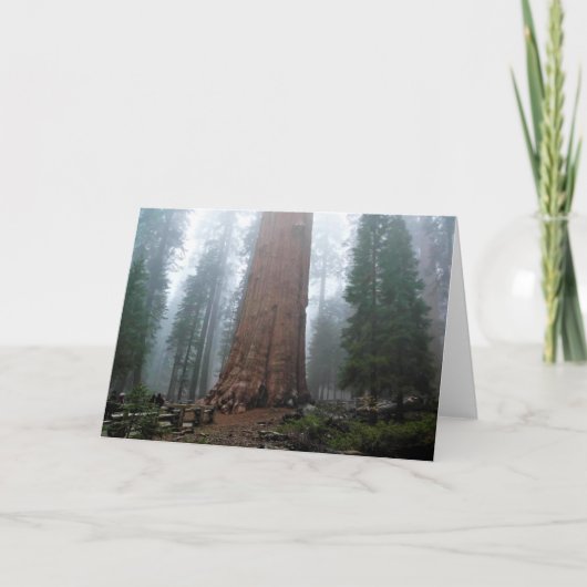 Generaal Sherman Tree, Sequoia, CA Kaart (Voorkant)