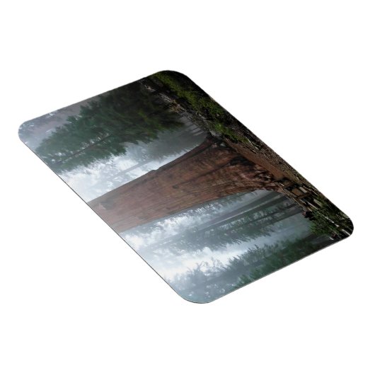 Generaal Sherman Tree, Sequoia, CA Magneet (Rechterzijde)