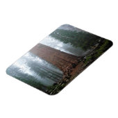 Generaal Sherman Tree, Sequoia, CA Magneet (Linkerzijde)