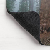 Generaal Sherman Tree, Sequoia, CA Muismat (Hoek)