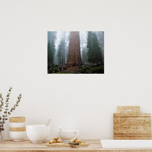 Generaal Sherman Tree, Sequoia, CA Poster (Keuken)