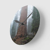 Generaal Sherman Tree, Sequoia, CA Ronde Klok (Hoek)
