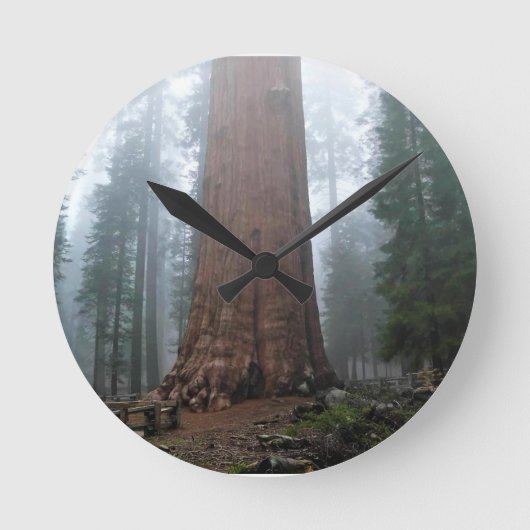 Generaal Sherman Tree, Sequoia, CA Ronde Klok (Voorkant)