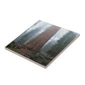 Generaal Sherman Tree, Sequoia, CA Tegeltje (Zijkant)