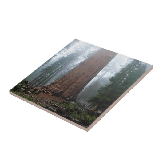 Generaal Sherman Tree, Sequoia, CA Tegeltje (Zijkant)