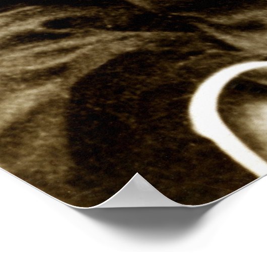 Generaal van de Burgeroorlog G.K. Warren Poster (Hoek)