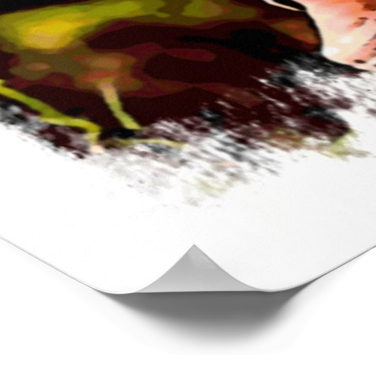 Generaal Vang Pao Waterverf Poster (Hoek)