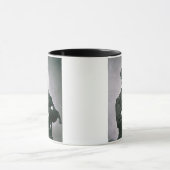 Generaal William T. Sherman (1820-1991) (foto) Mok (Midden)