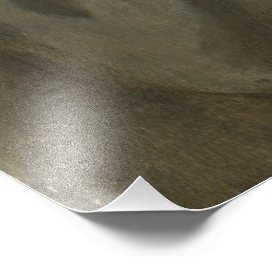 General Dwight Eisenhower 5 Star Painted Portret Foto Afdruk (Hoek)