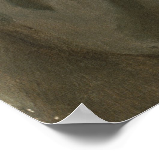 General Dwight Eisenhower 5 Star Painted Portret Poster (Hoek)