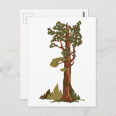 General Sherman Tree Briefkaart (Voorkant / Achterkant)