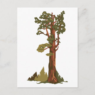 General Sherman Tree Briefkaart