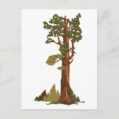 General Sherman Tree Briefkaart (Voorkant)