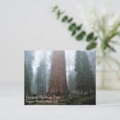 General Sherman Tree, Sequoia, CA Briefkaart (Staand voorkant)