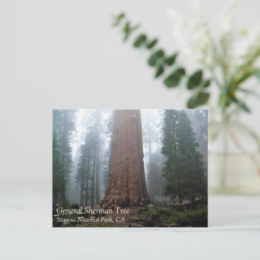 General Sherman Tree, Sequoia, CA Briefkaart (Staand voorkant)