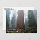 General Sherman Tree, Sequoia, CA Briefkaart (Voorkant / Achterkant)