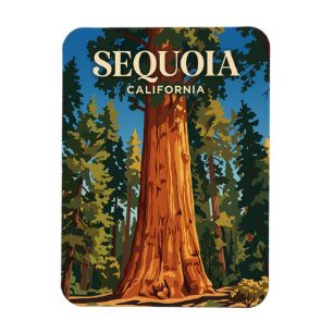General Sherman Tree, Sequoia National Park VS Magneet
