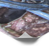 General Store - Virginia City Ghost Town - Montana Poster (Hoek)