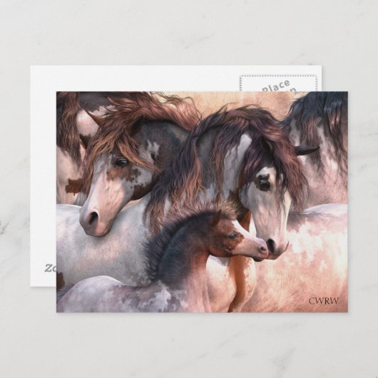 Generaties Briefkaart (Voorkant / Achterkant)