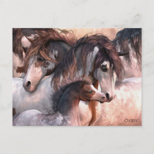 Generaties Briefkaart