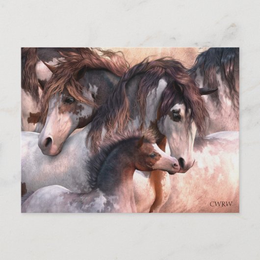 Generaties Briefkaart (Voorkant)