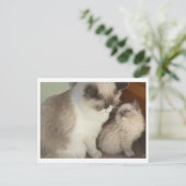 Generaties Briefkaart (Staand voorkant)