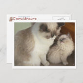 Generaties Briefkaart (Voorkant / Achterkant)