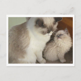 Generaties Briefkaart