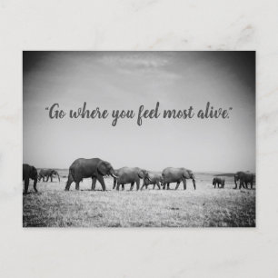 Generaties van Wenskaart Elephants Briefkaart