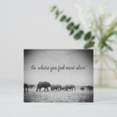Generaties van Wenskaart Elephants Briefkaart (Staand voorkant)