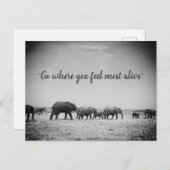 Generaties van Wenskaart Elephants Briefkaart (Voorkant / Achterkant)