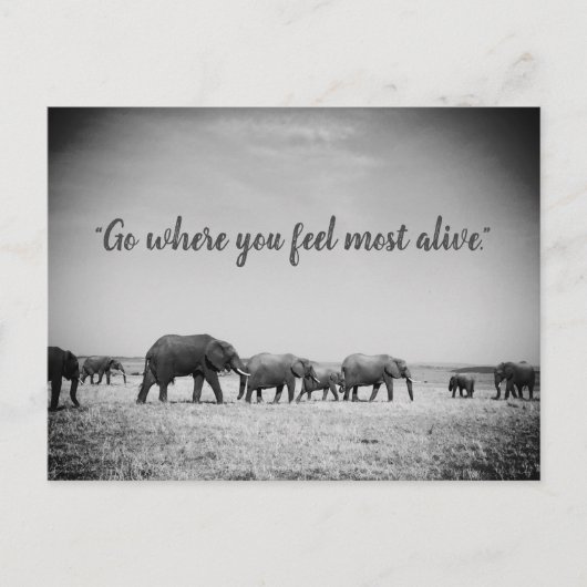 Generaties van Wenskaart Elephants Briefkaart (Voorkant)