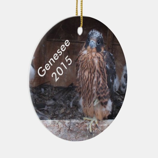 Genesee Ornament 2015 (Rechts)