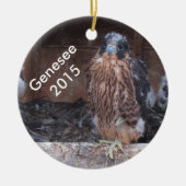 Genesee Ornament 2015 (Voorkant)