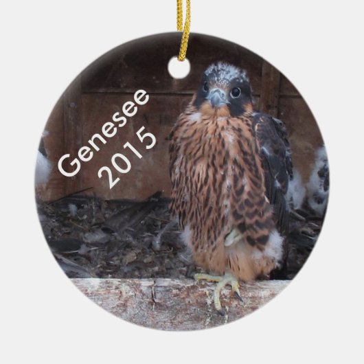Genesee Ornament 2015 (Voorkant)