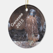 Genesee Ornament 2015 (Links)