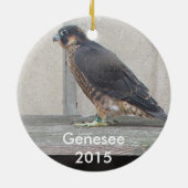 Genesee Ornament 2015 (Achterkant)