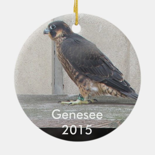 Genesee Ornament 2015 (Achterkant)