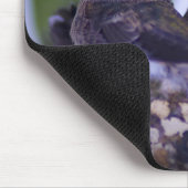 Genesis 1:20 Juveniele kolibries Mousepad Muismat (Hoek)