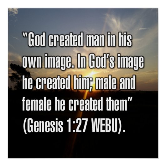 Genesis 1:27 WEBU Perfect Poster (Voorkant)