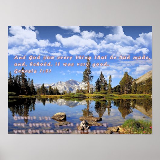 Genesis 1:31 poster (Voorkant)