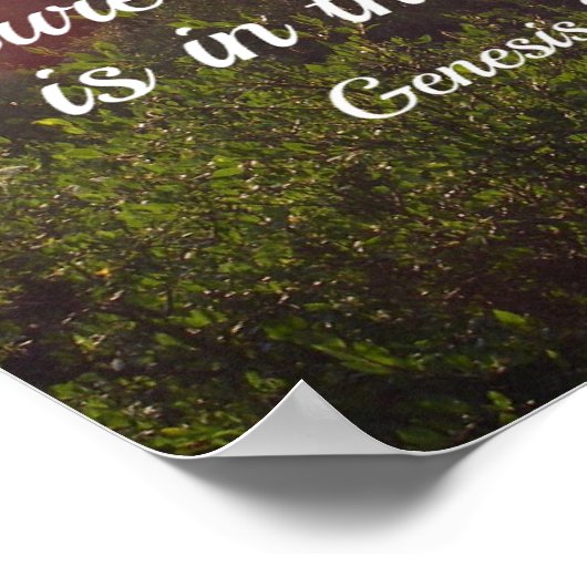 Genesis 28:16 De Heer is toch hier? Poster (Hoek)