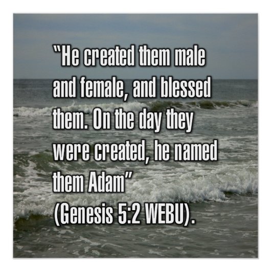 Genesis 5:2 WEBU Perfect Poster (Voorkant)