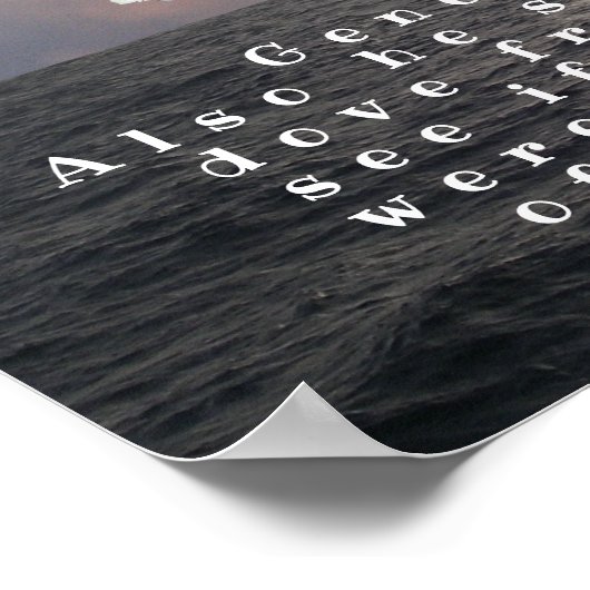 GENESIS 8:8 POSTER (Hoek)